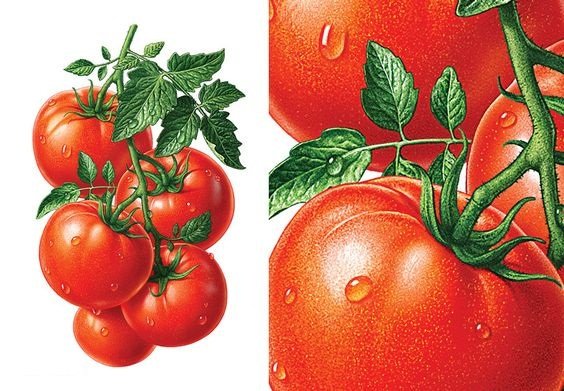 диптих "томаты" - оригинал