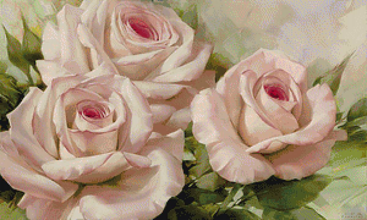 Розы "Dolce vita" - нежность, розы, цветы - предпросмотр