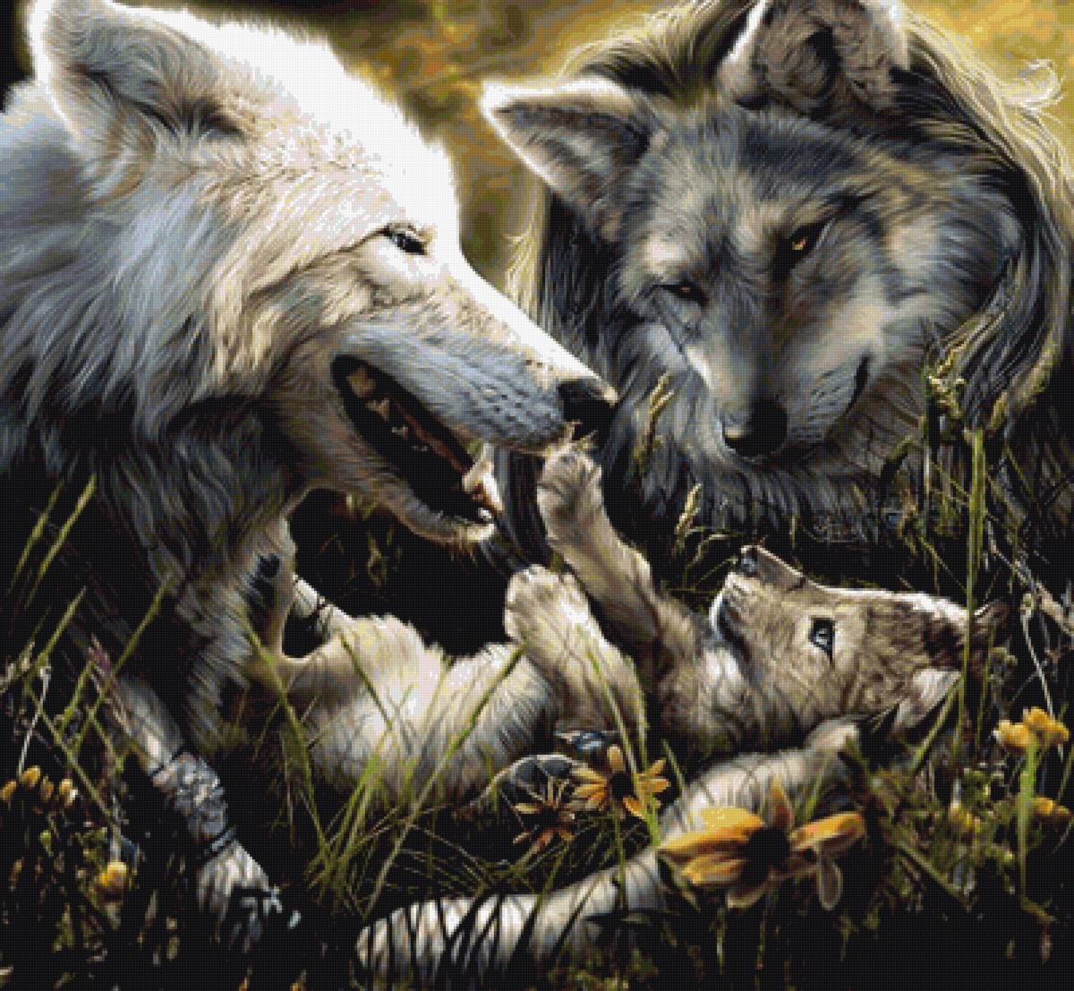 волчья семья - предпросмотр