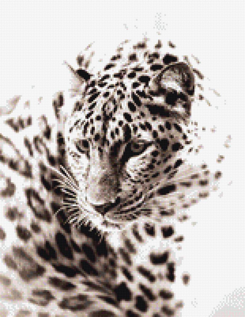 Снежный леопард - леопард, животные - предпросмотр