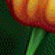 Предпросмотр схемы вышивки «Тюльпаны» (№1303334)