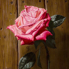 Оригинал схемы вышивки «её величество-роза» (№1305514)