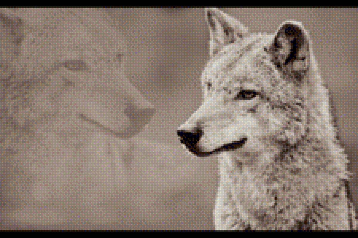 Волк - он, одиночество, прошлое, волк, тень - предпросмотр