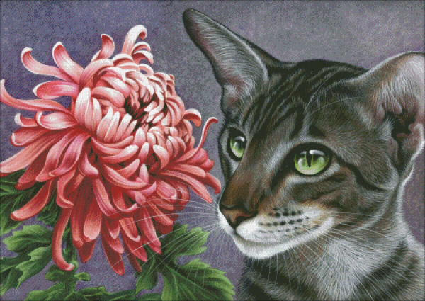 Котик - природа, кошки, цветы - оригинал