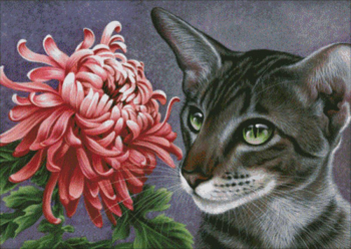 Котик - цветы, кошки, природа - предпросмотр