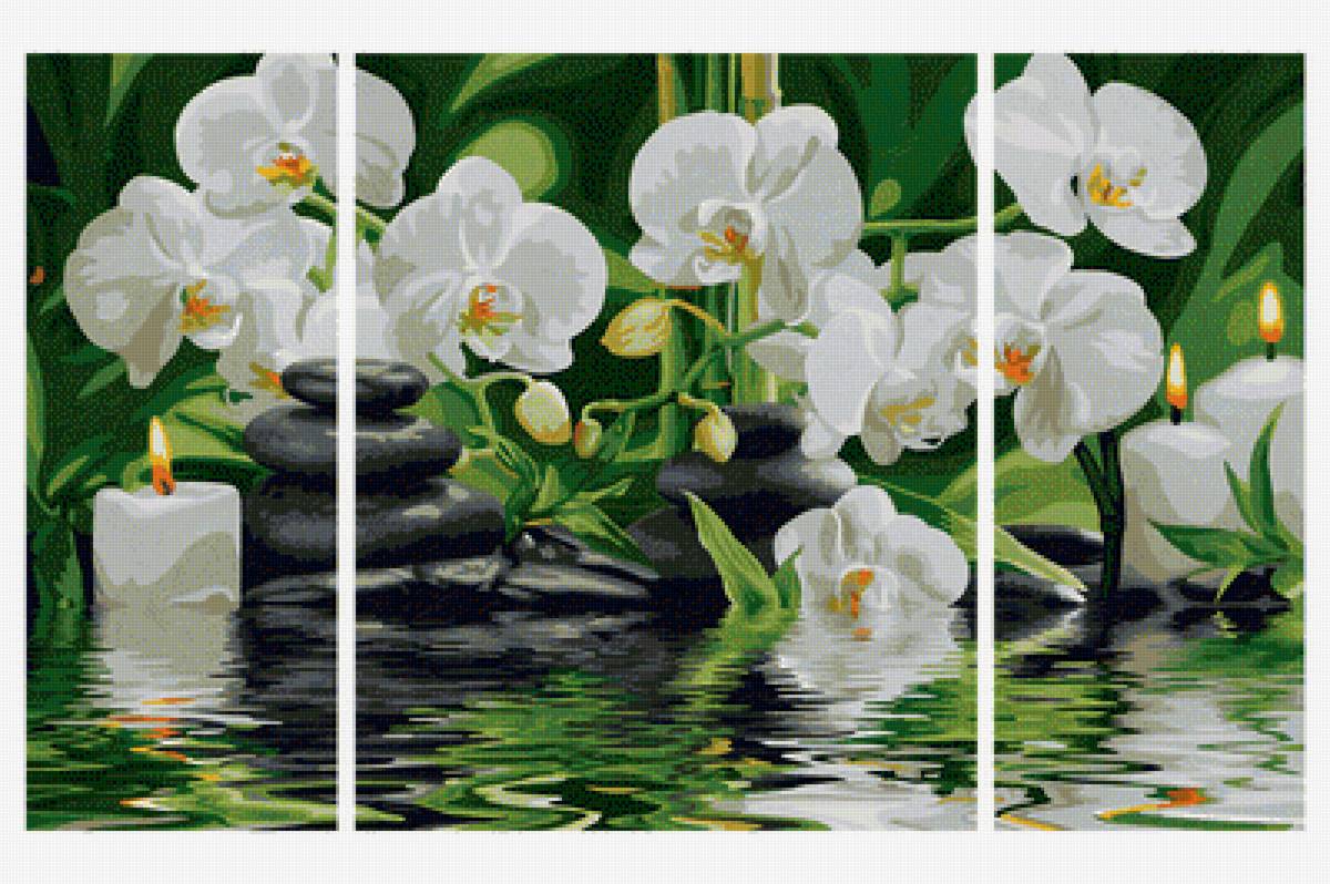Триптих орхидея - триптих - предпросмотр
