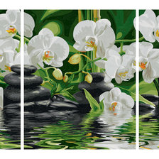 Оригинал схемы вышивки «Триптих орхидея» (№1312030)