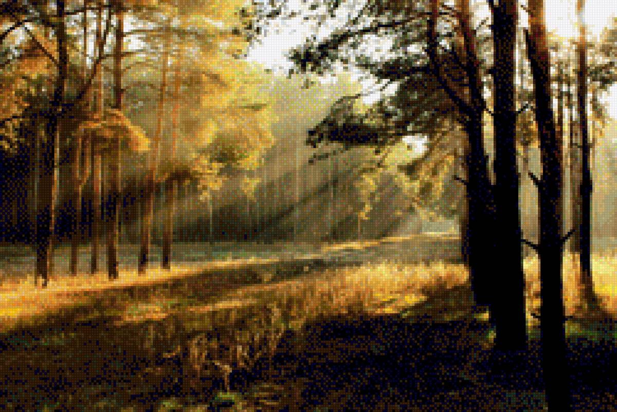 утро в лесу - осень, утро, природа, лес - предпросмотр