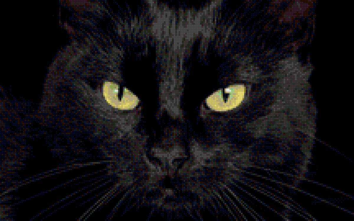 Черный кот - черный, глаза, черный кот, кот, морда - предпросмотр