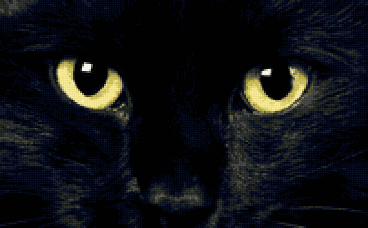 Черный кот 2 - черный кот, глаза, кот, морда, черный - предпросмотр