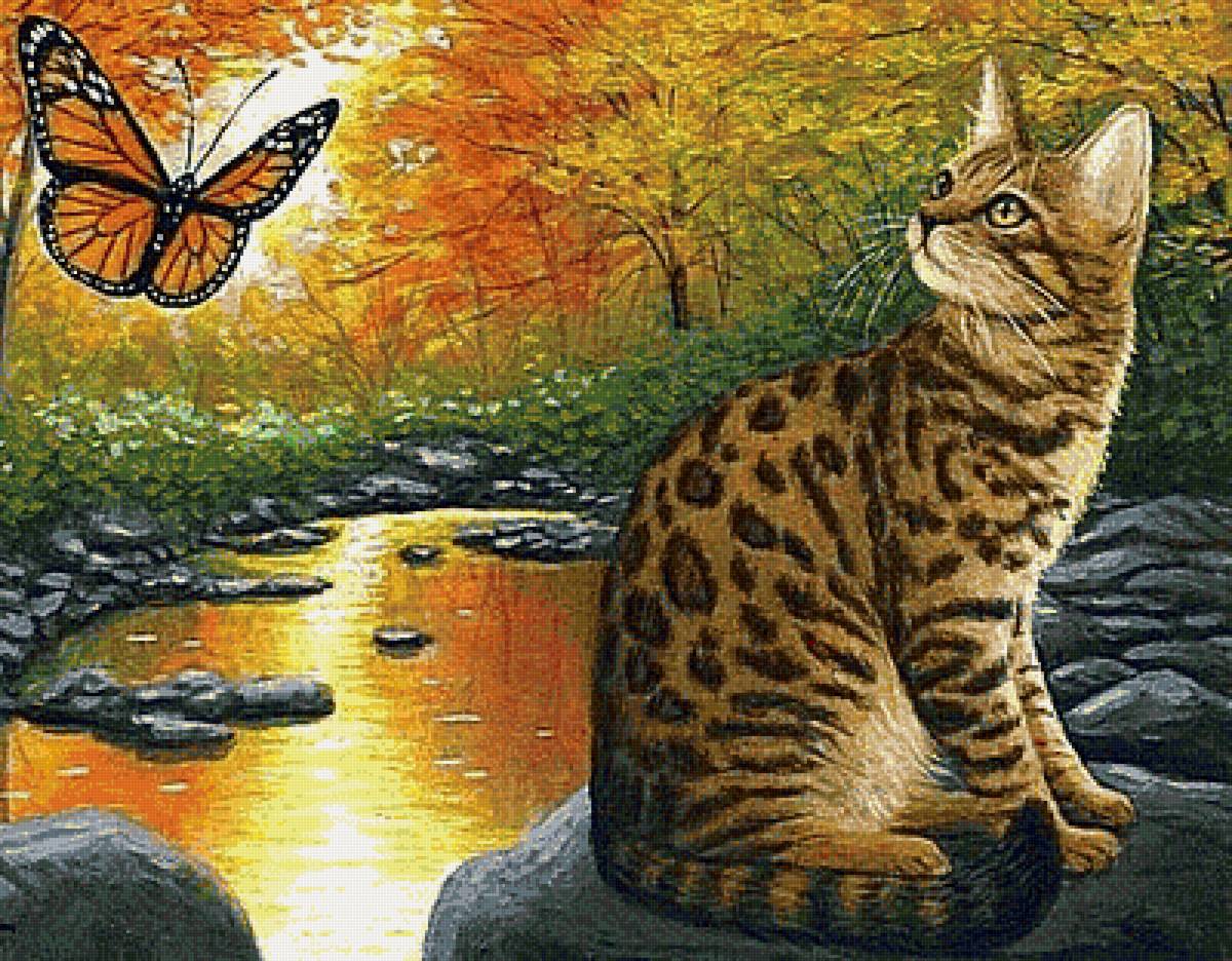 Кот и бабочка - животные - предпросмотр