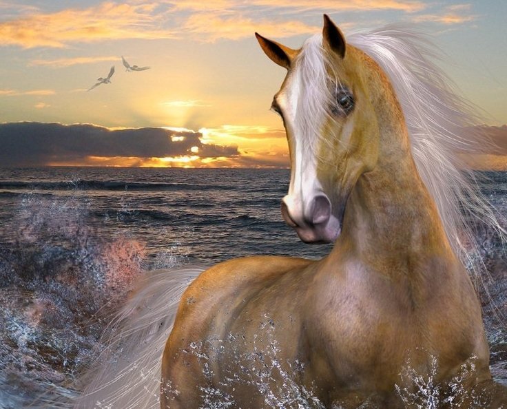 Лошадь и море - море, лошади, пейзаж - оригинал