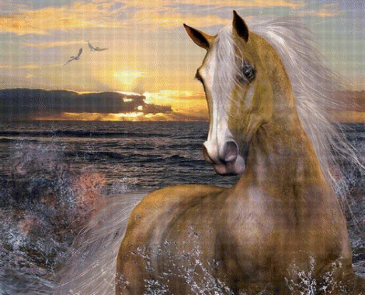 Лошадь и море - море, лошади, пейзаж - предпросмотр