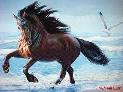 Конь на море - бегущий, волны, море, конь - оригинал