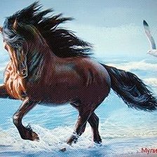 Конь на море