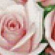 Предпросмотр схемы вышивки «розы» (№1316761)