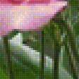 Предпросмотр схемы вышивки «Садовые Розы» (№1317326)