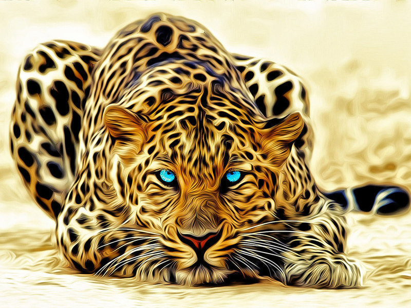 Леопард перед прыжком - леопард тигр взглад пятнистые животные - оригинал