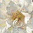 Предпросмотр схемы вышивки «kvetinová krása» (№1319211)
