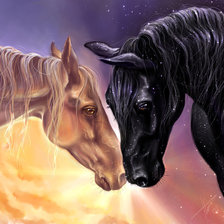 кони светлый и темный