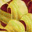 Предпросмотр схемы вышивки «Хризантемы» (№1322178)