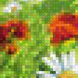 Предпросмотр схемы вышивки «цветочное поле» (№1322405)