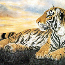 Оригинал схемы вышивки «тигр» (№1324483)
