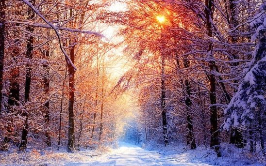 Зима - зима, дома, снег, солнце - оригинал
