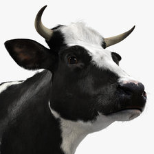 Оригинал схемы вышивки «Корова» (№1324680)