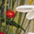 Предпросмотр схемы вышивки «margareti,červené kvety» (№1324739)