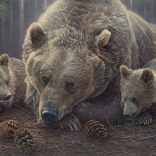 Оригинал схемы вышивки «медведица с медвежатами» (№1331169)