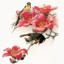 Оригинал схемы вышивки «птицы» (№1332177)