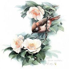 Схема вышивки «цветы и птица»