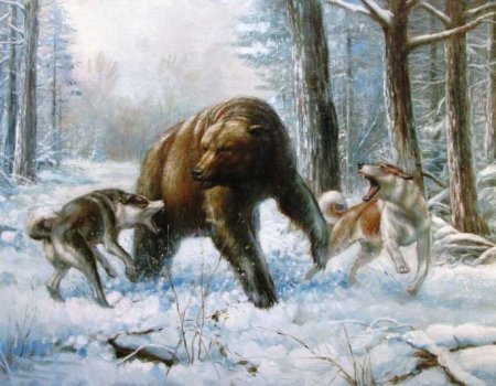 охота на медведя - охота - оригинал