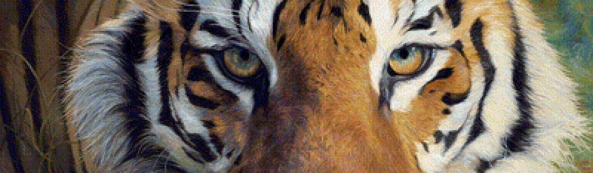 тигр - тигры, звери, животные - предпросмотр