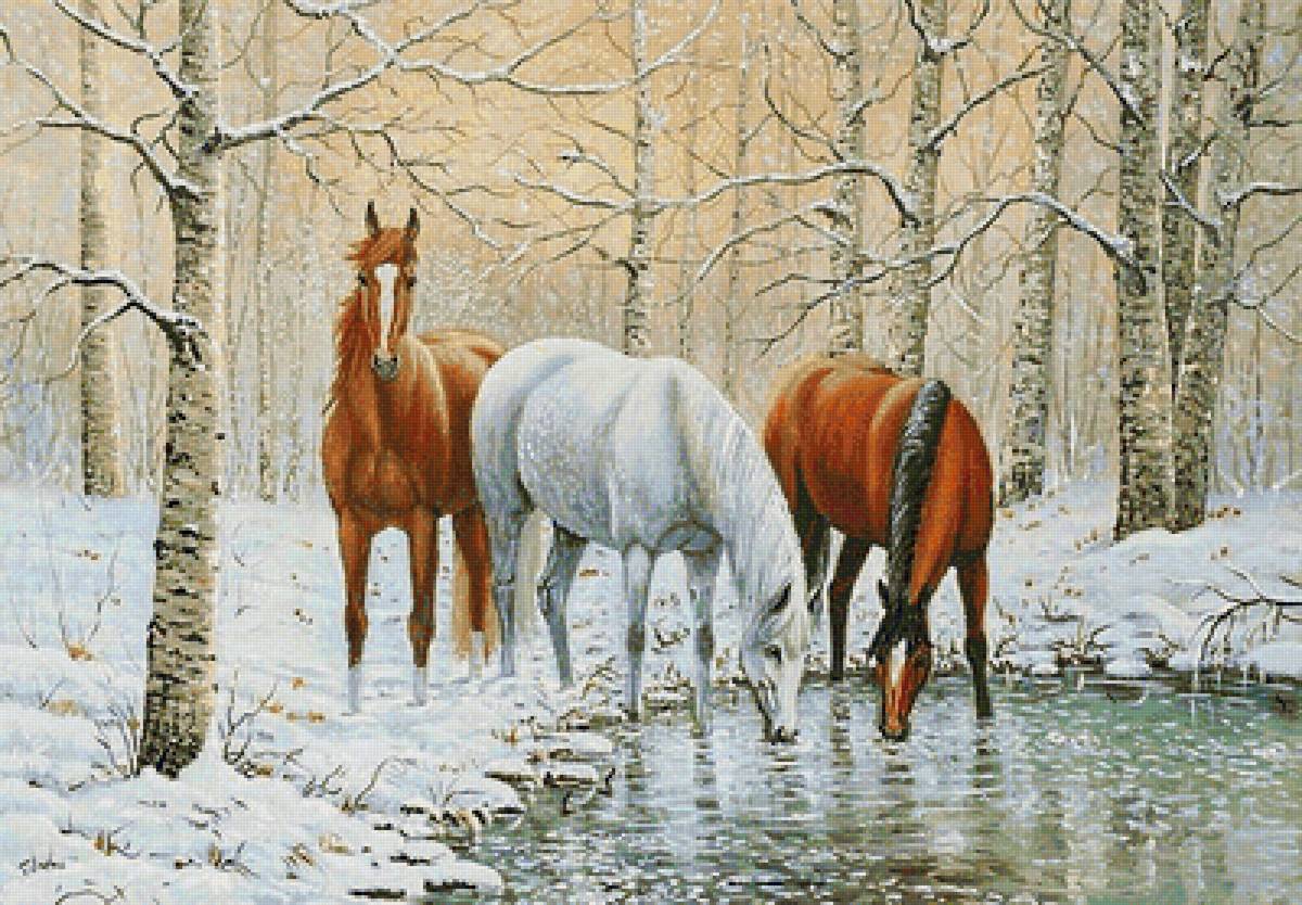 на водопое - белый конь, зима, домашние животные, кони, лошади, лес - предпросмотр
