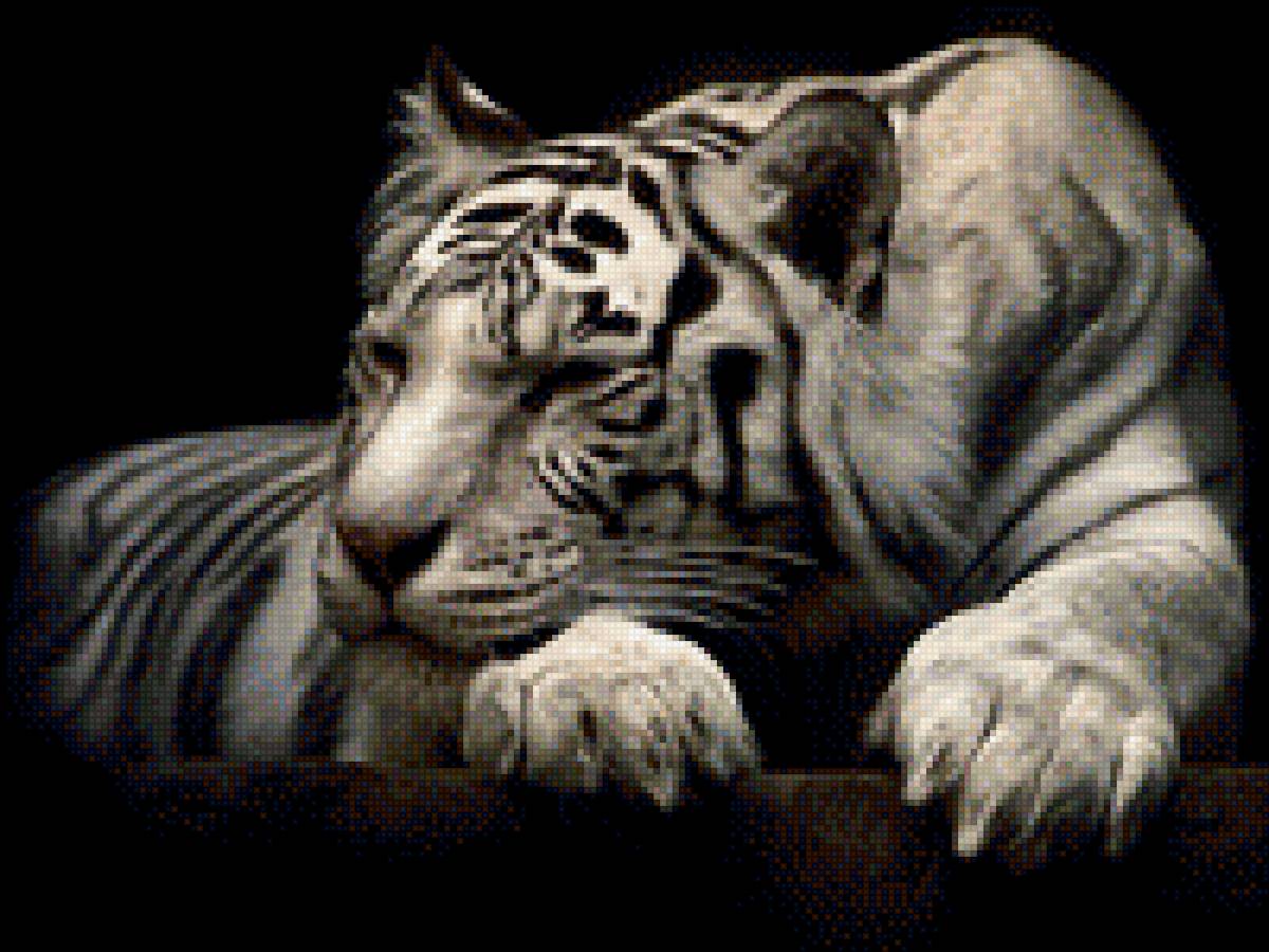 Белый тигр - белый тигр, дикие животные, кошки, черный фон, красота - предпросмотр