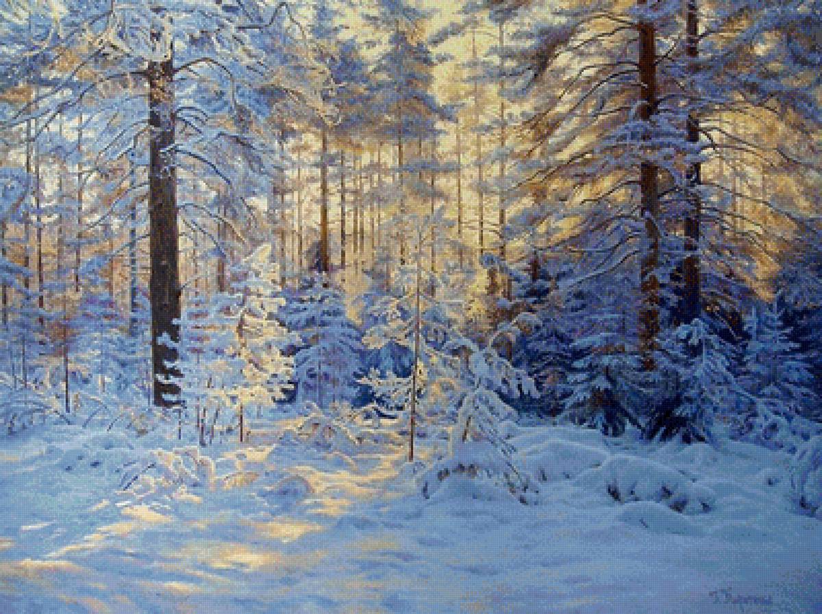 зимний день - лес, природа, зима, пейзаж - предпросмотр