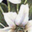 Предпросмотр схемы вышивки «белые цветы» (№1334715)