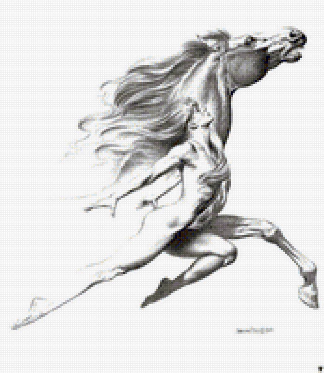 №1335457 - лошадь, конь, девушка - предпросмотр