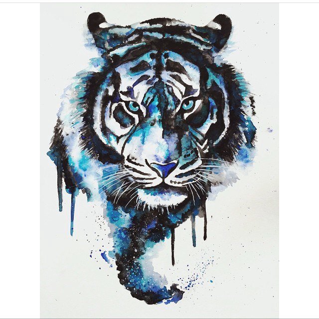 Тигр - кошка, акварель, синий, рисунок, морда, тигр - оригинал