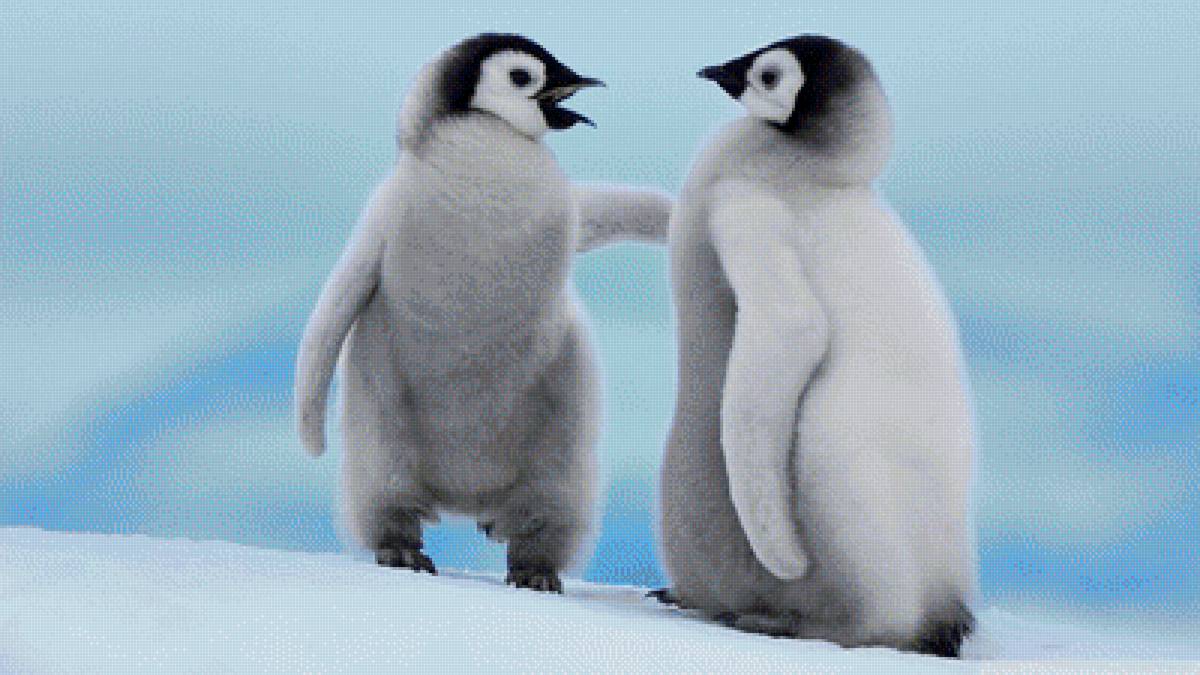 друзья - малыши, пингвины, пингвин, снег - предпросмотр