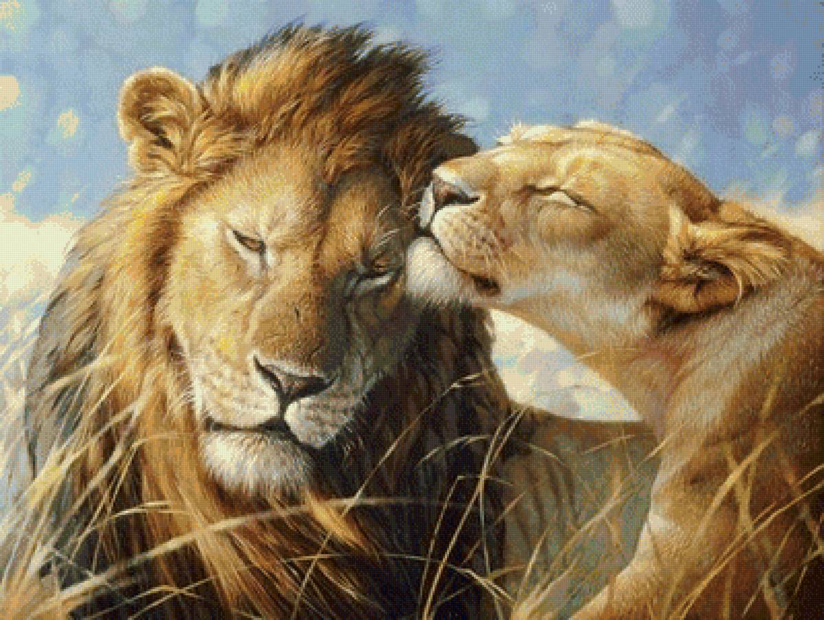 Это любовь... - львы, природа, звери - предпросмотр