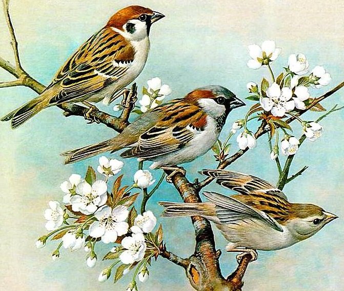Птички - дерево, птицы, цветы - оригинал
