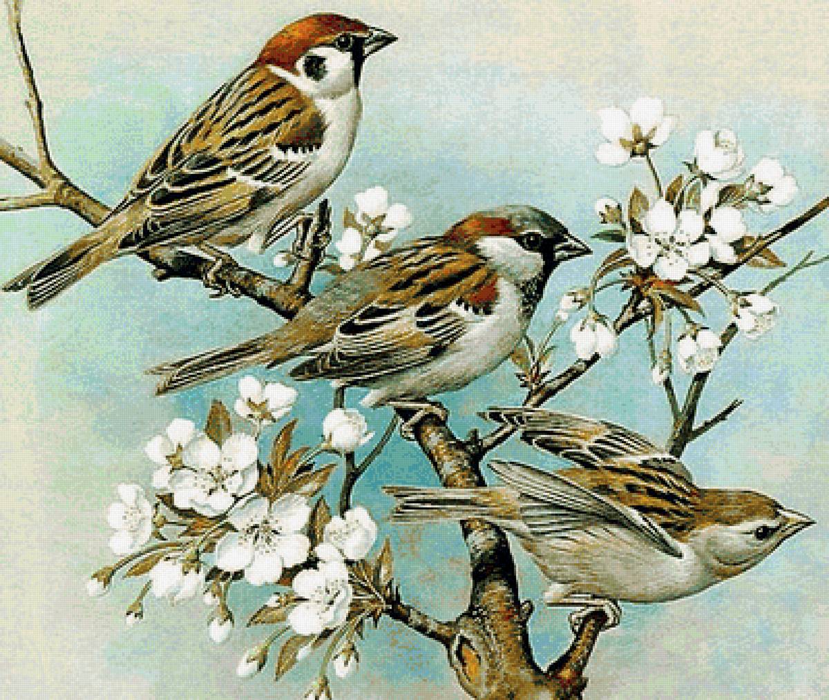 Птички - птицы, дерево, цветы - предпросмотр