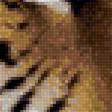 Предпросмотр схемы вышивки «Тигр» (№1338236)