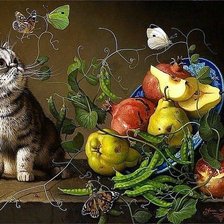 натюрморт с фруктами и котом