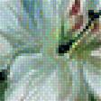 Предпросмотр схемы вышивки «лилии» (№1343004)