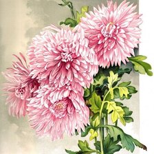 Оригинал схемы вышивки «цветы» (№1345068)