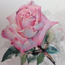 Схема вышивки «Прекрасная роза»
